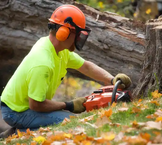 tree services Babbitt